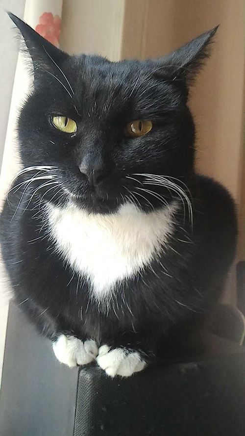 ˵Ĵ Ҳ˵ǿ  ɢ 121811ei1qdg8szycz9cic