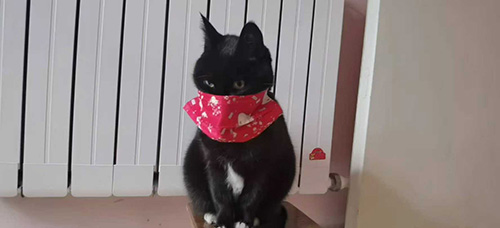 ˵Ĵ Ҳ˵ǿ  ɢ 121811gnlltaqx8nalxm5q