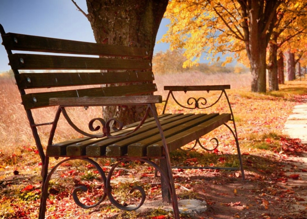 Ҷʫ  ִʫ 083748m3kayr4va353i35v