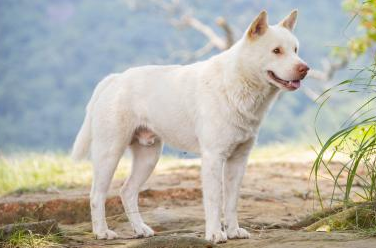 8b651eb71e3d75.png 8b651eb71e3d75.png