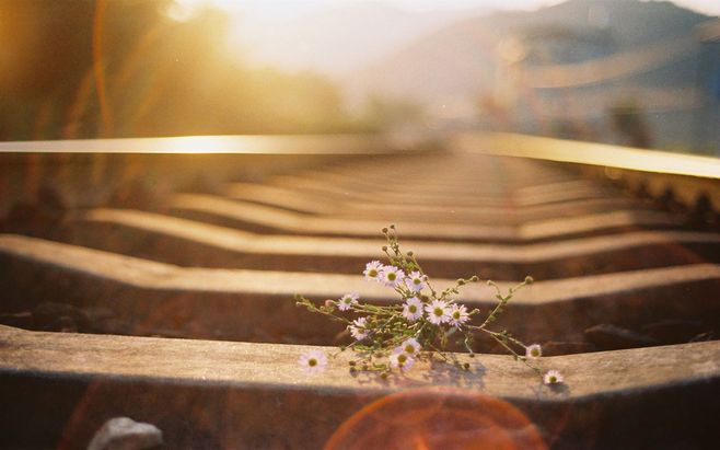 ͯϼ  ɢ 100246ov0pcpcp1a0bllli