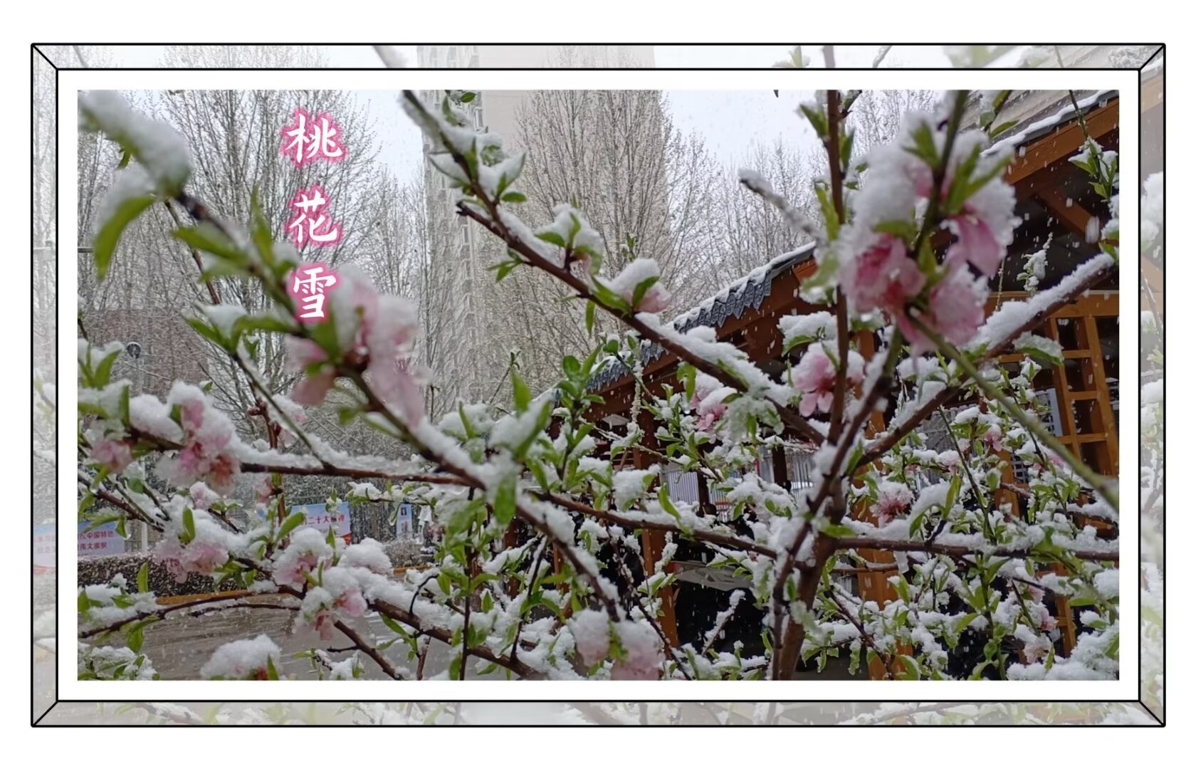 һѩ  ִʫ 160800siezau95ihz174gh