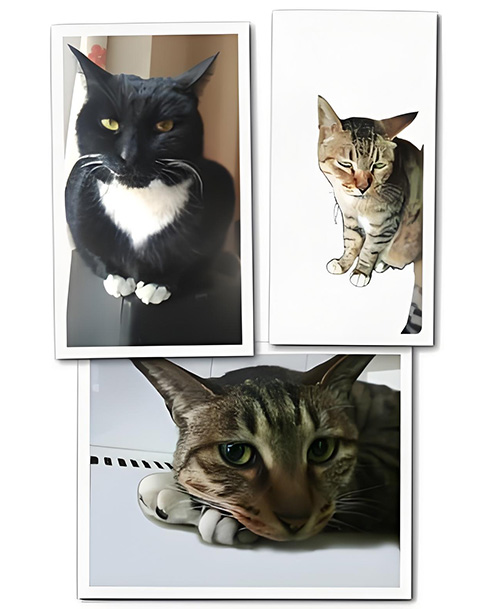 -Ͼ  Ͻ 121937utbg14011r11rzz5