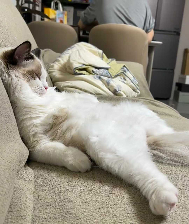 ӡ£ͨϣ  Ͻ 115814b61ddgxnbco6dovr