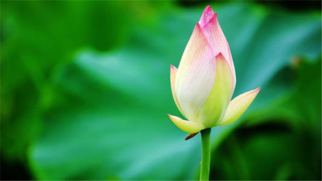 壩  Ͻ 195400edzhgll62pa23pl6