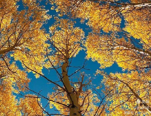 ϵ  ɢ 191822nyfrxwrw8yftozow