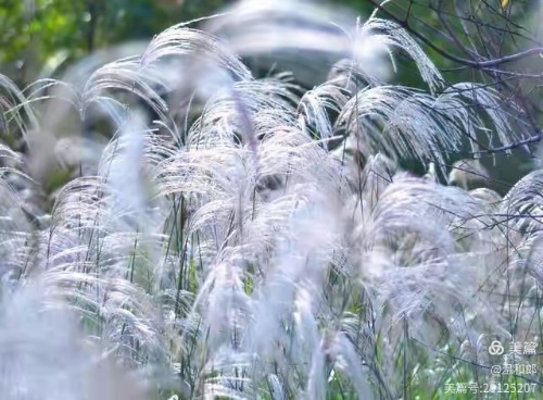 ũ  ɢ 102200gxxz9buxdttkctdj