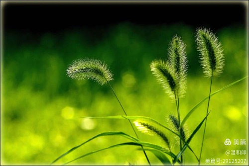 ũ  ɢ 102206gaw7fwadrdaueena