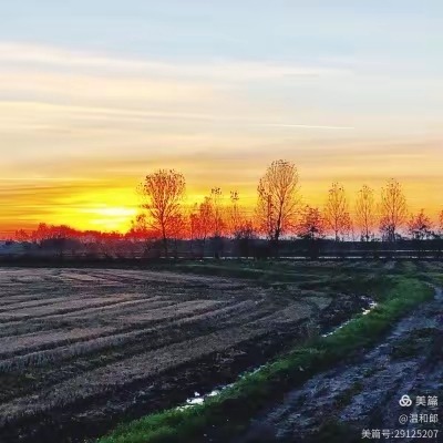 ֳҵͯ  ɢ 145913rv40ayfpp0u0syp6