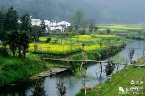 ֳҵͯ  ɢ 145919yjl73p639l3mw4ej