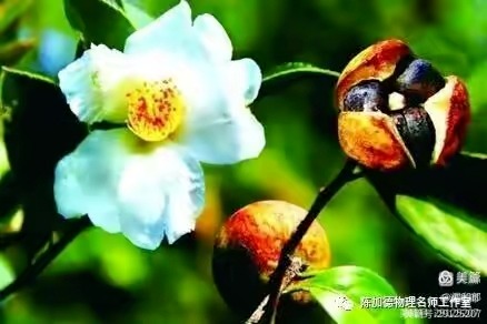 Ͳ  ɢ 192324egv6cvqqd2tmmite