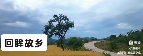 Ͳ  ɢ 192344pk2wwpw1pp4212mz