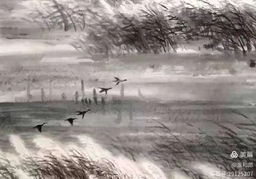 ͥ¶  Ͻ 163110z9zkyct02ke599y9