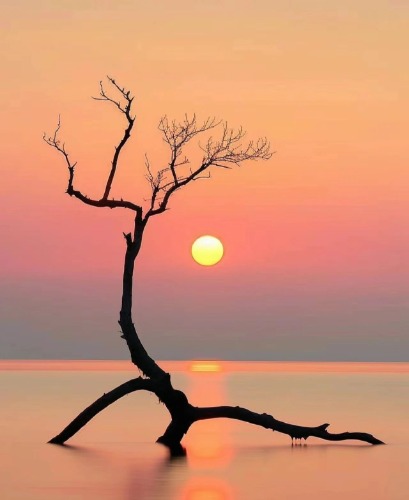 ͥ¶  Ͻ 163223wqlqze57dk1soooo