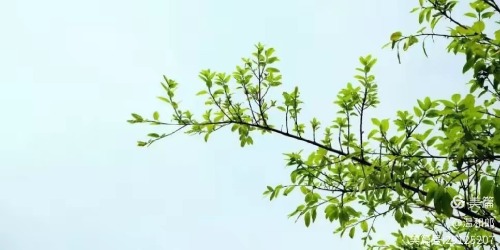 ͯĴׯ  ִʫ 163512gni8dgbdonlrnbd8