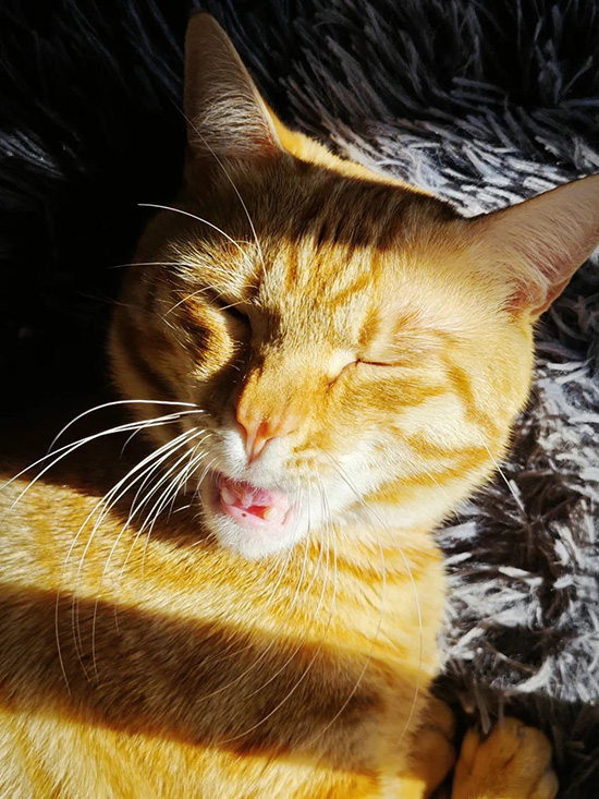 ʱ24.  ִʫ 115706xps9azrv66sjuu6j