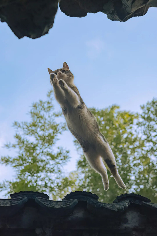 ʱ25.ͿԷ  ִʫ 122201in1l25qndnzi2lii