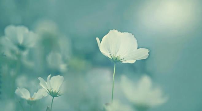 һɵŮ  ɢ 161307nnx7rxzx7xnoxjjl