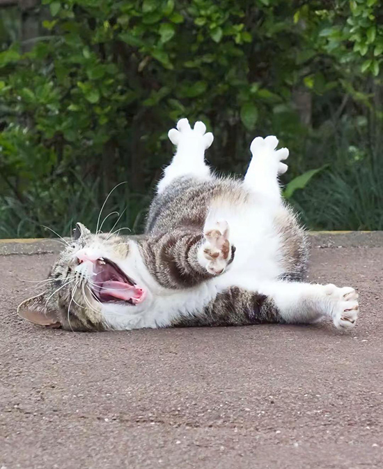 ʱ27.Сèĳ˲  ִʫ 110418c11mnsl42onmd51n