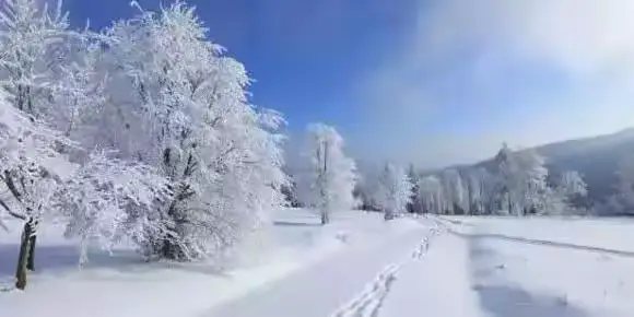 ѩĹ  ɢ 081419j44caimvrxa54vnr