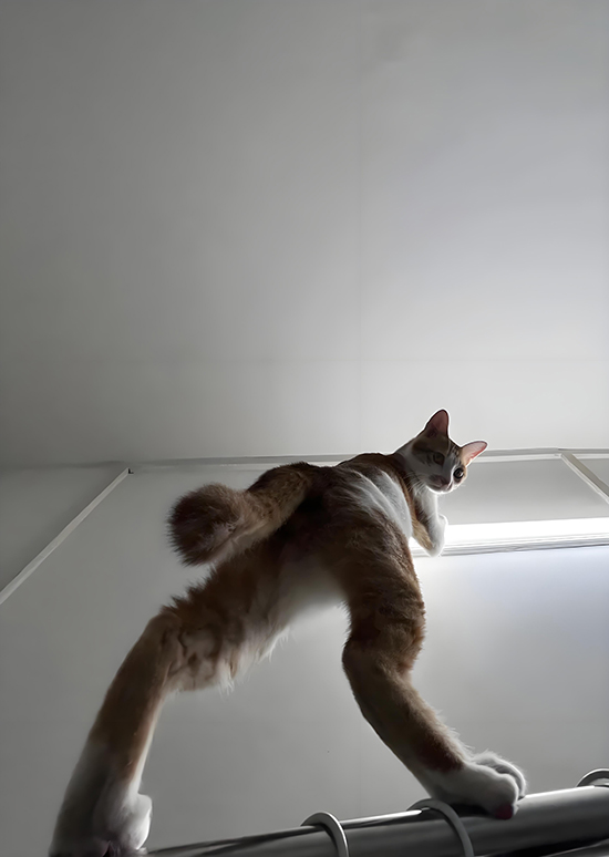 ʱ28.0.5Ĺ  ִʫ 113620gf6mtzdafggtcudw