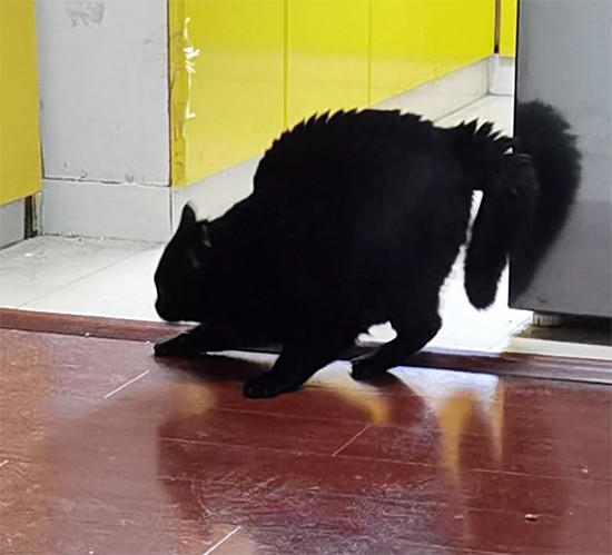 ʱ29.ɫ  ִʫ 115429o000lu9b2cu0dzli