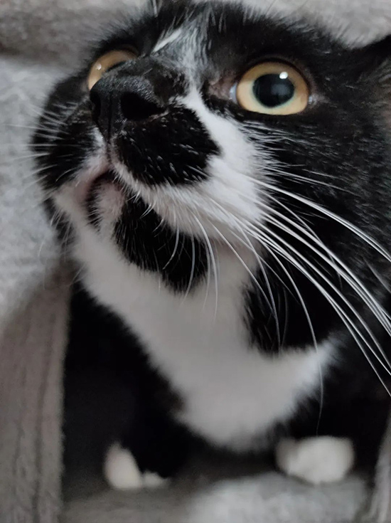 ʱ30.ഺ  ִʫ 115012wc4lqtx9cxrwp1v9