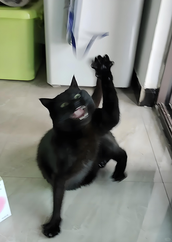 ʱ31.  ִʫ 114136bt6rvgpcyc8yvyvc