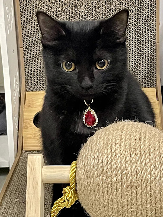 ʱ32.ɽ֮  ִʫ 111124iwv3v2ywwybs8321