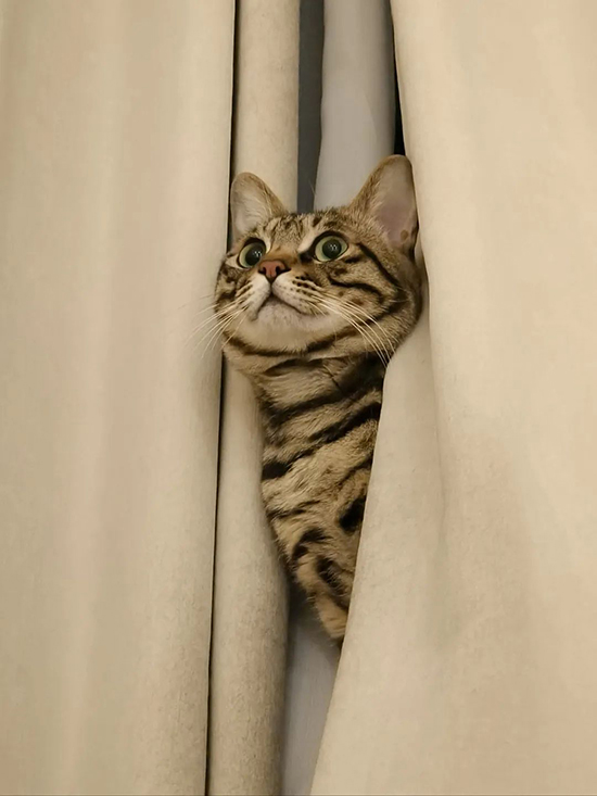 ʱ33.  ִʫ 121222nhg39aibgbkb79ei