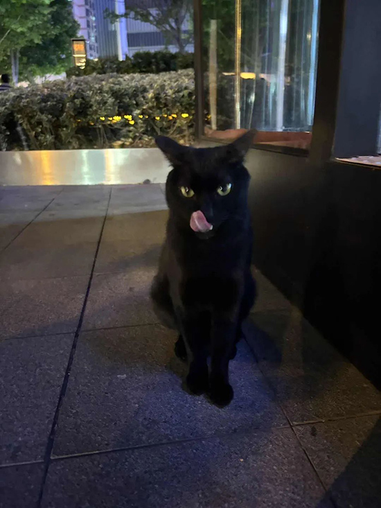 ʱ34.ɫ  ִʫ 120902yqixs8v6fjujzsj7