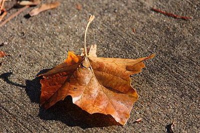 ׽ڣʫ  ִʫ 145224s6i6opv4m74alab0