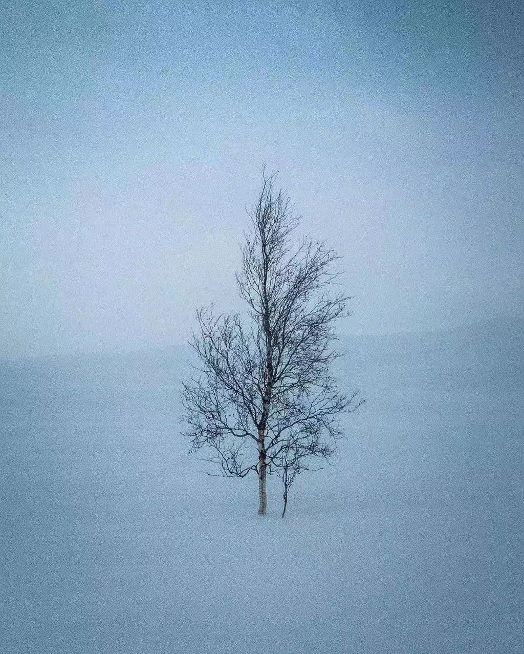 ׽ڣʫ  ִʫ 145449s8x9bvkbxbsec1sx