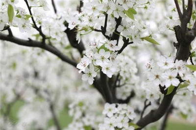 ׽ڣʫ  ִʫ 145932j51muluqo6u46u1o