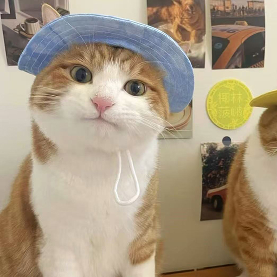 ʱ35.ֳ  ִʫ 110230qmmixlvccdmyiiml