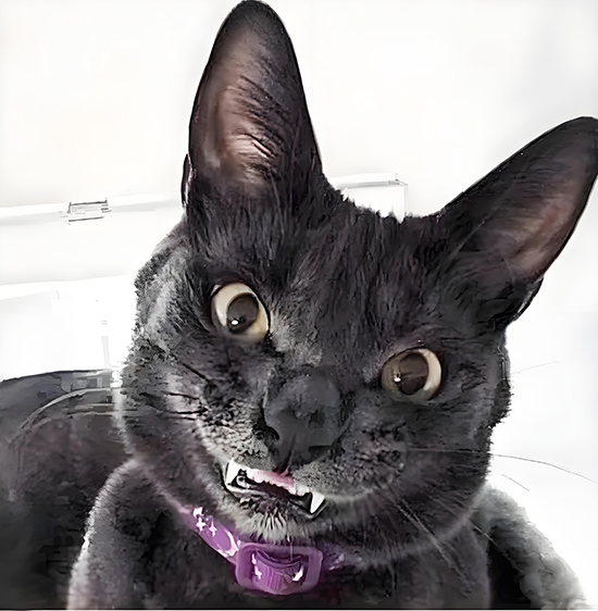 ʱ36.ȴ΢Ц  ִʫ 112011ru0chp8god8px8hn