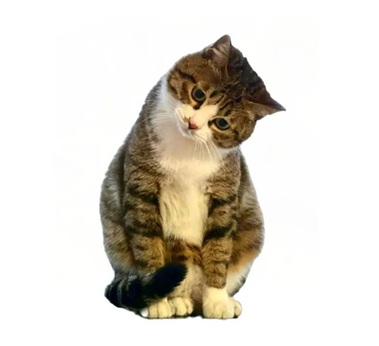 ʱ37.Ī֪  ִʫ 114646xnxbxofejfjzrbhf