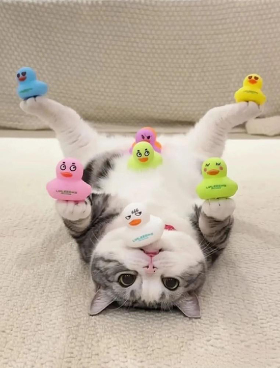 ʱ38.ƽǸ  ִʫ 113229ywiwtitwkekziumi