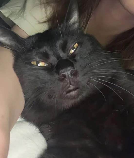 ʱ39.ڸè  ִʫ 111828i73cgnc7mpg7gr27