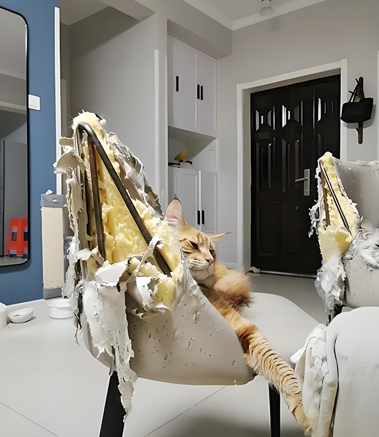 ʱ40.  ִʫ 110234gwt2k77ii3l47i0g