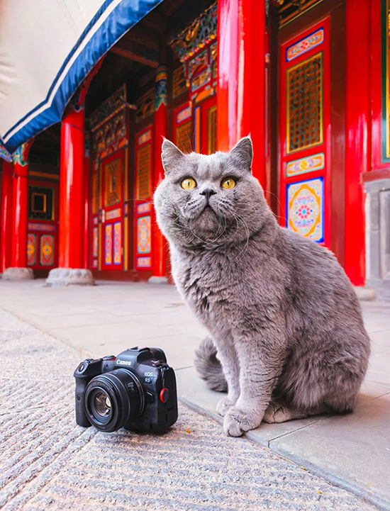 ʱ42.ֻ  ִʫ 115207kbrsbj5pybs9bh7i