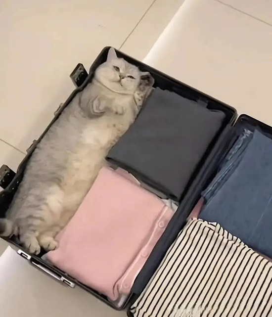 ʱ44.Ұ  ִʫ 115545wb5bp4w81z6gnpz6