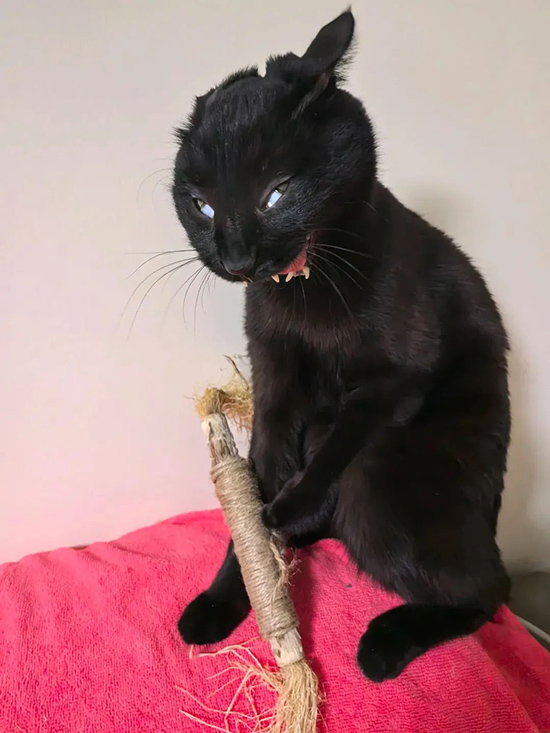 ʱ45.Ͷ  ִʫ 115217xoyovnaxg8eyc0ym