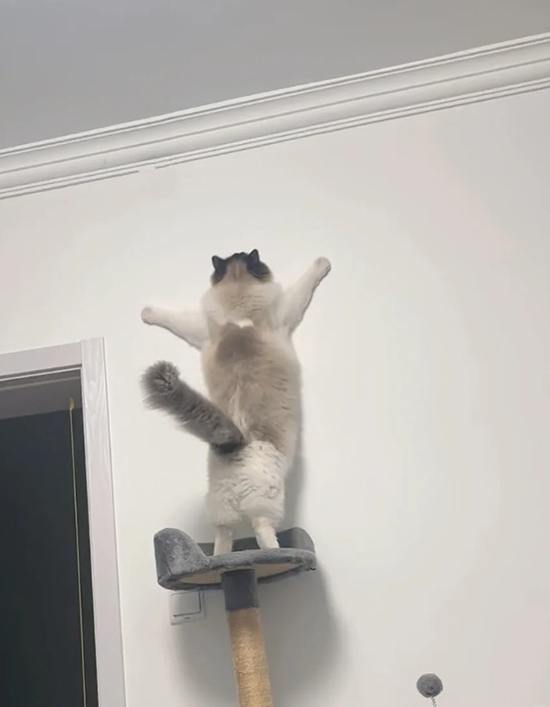 ʱ46.Ϊ  ִʫ 114156wc9zwc3gcqc77qba