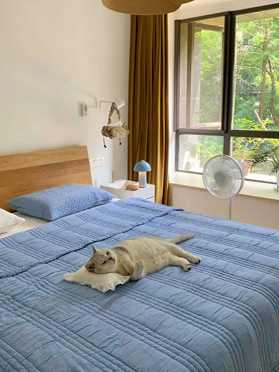 ʱ47.ƽ  ִʫ 114533i9cx45tet9z451ie