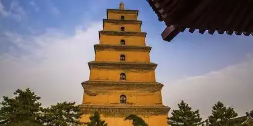 Ѱš±֮һ  ɢ 221548psszmzxcsmp09hmc