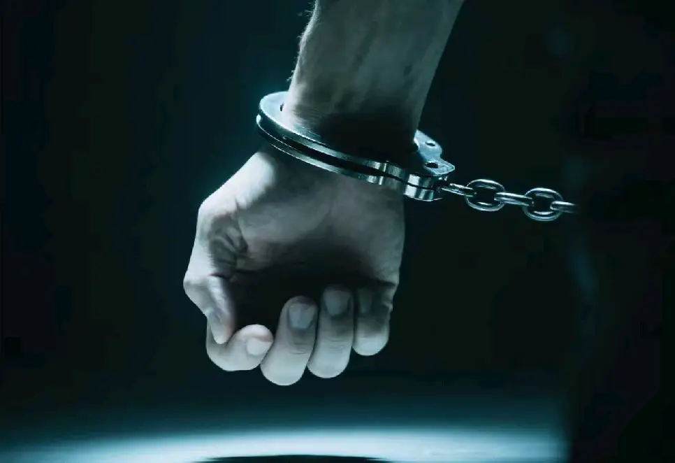 Ƶ֡ųǡִʫף  ִʫ 222631appu61ppuueulul6