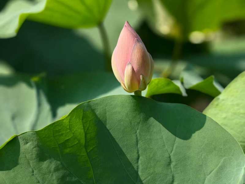 պ  ɢ 190752vjzv9xp98zmuo94j