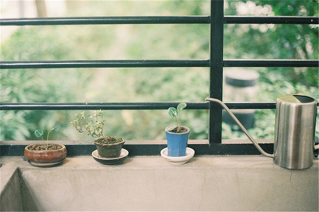 ֪  ɢ 194607shd7on5oo5gzdogn