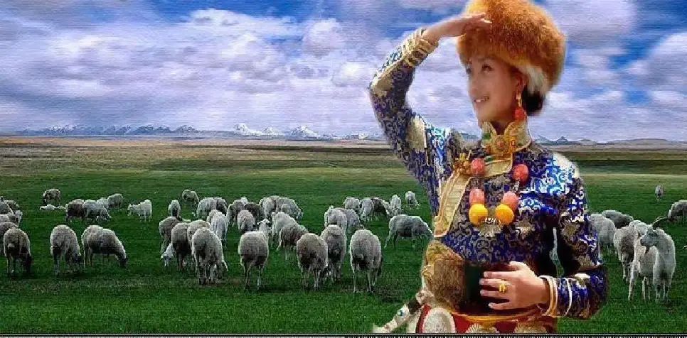 ͽ  ɢ 094305j4su3smrdl732dcu